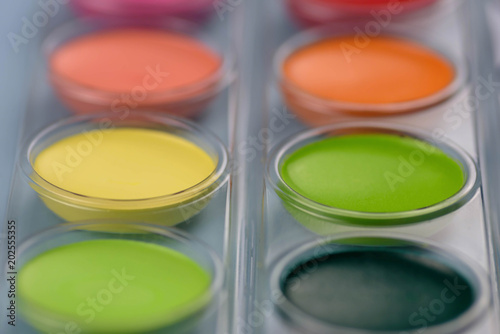 Closeup of colorful watercolor paints in earth tone shades
