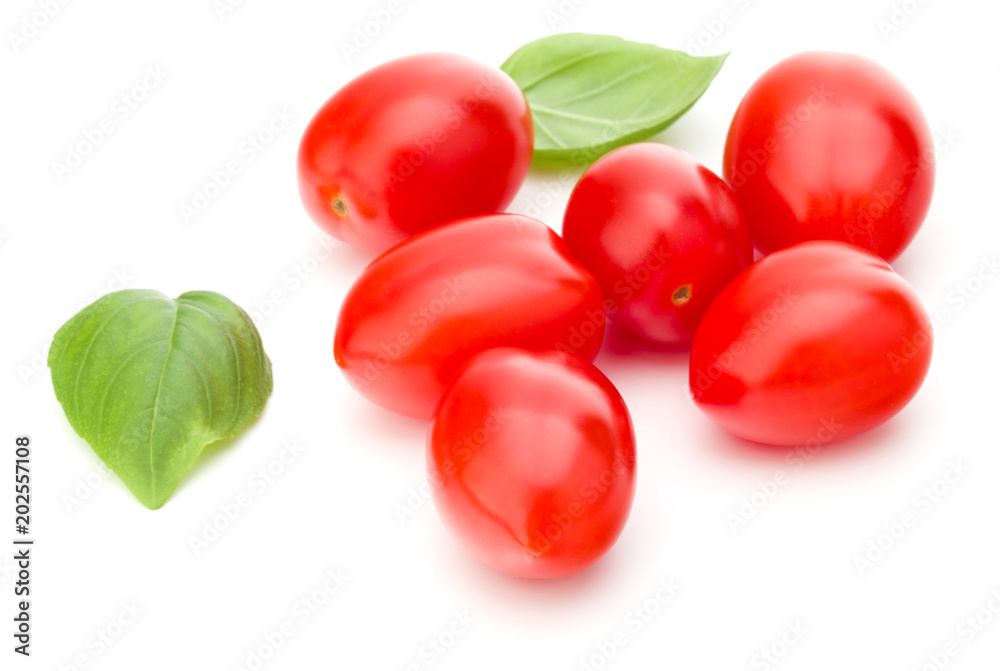 fresh plum tomato with basil leaf isolated on white background fresh plum tomato with basil leaf isolated on white background