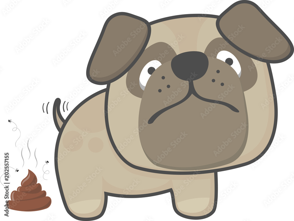 cute pug dog pooping isolated on white background cute pug dog pooping isolated on white background