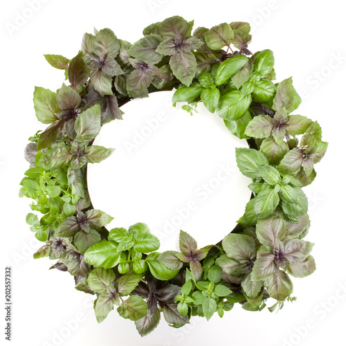Various sweet basil herb leaves round frame. Healthy food concept. Top view with copy space.