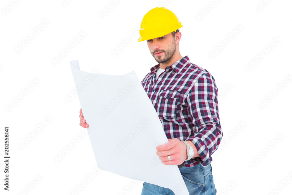 Architect holding blueprint Architect holding blueprint