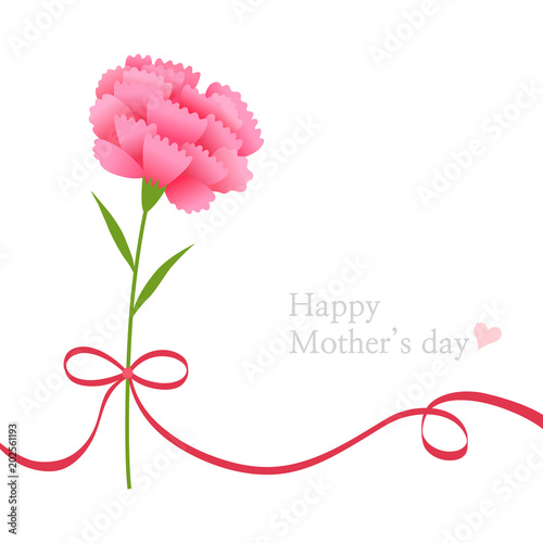 Pink carnation flower with ribbon.Greeting card