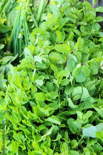 Pepper mint leaves for cooking at market