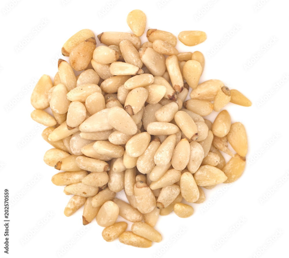 Pine Nuts on a White Background Pine Nuts on a White Background