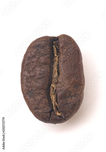 Single Roasted Coffee Bean on a White Background