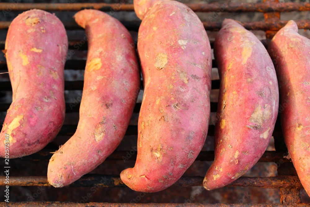 Sweet potatoes grill on stove is delicious Sweet potatoes grill on stove is delicious