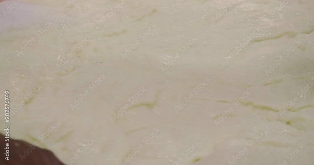 A cheesemaker prepares a form of Parmesan cheese using fresh and bio milk. The processing is done following the ancient Italian tradition. A cheesemaker prepares a form of Parmesan cheese using fresh and bio milk. The processing is done following the ancient Italian tradition.