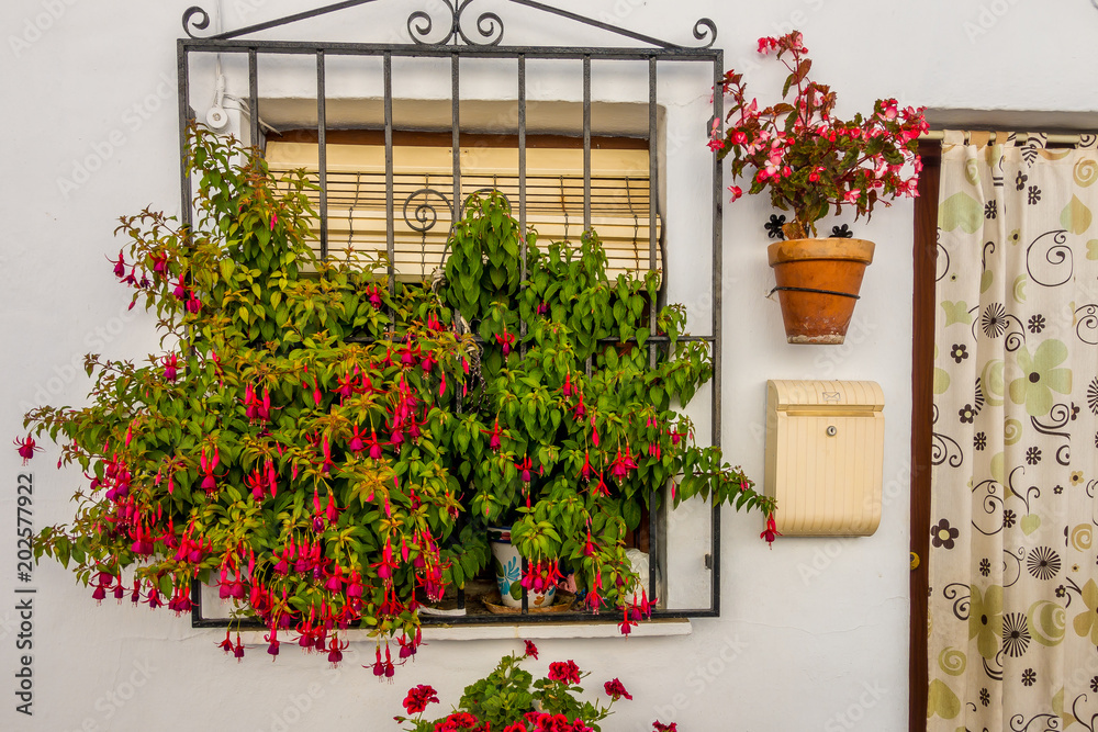 Φωτογραφία Beautiful entries, doors and windows of Frigiliana, village of Malaga