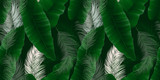 Seamless pattern, green Asplenium nidus, Birds Nest Fern and palm leaves on dark green background