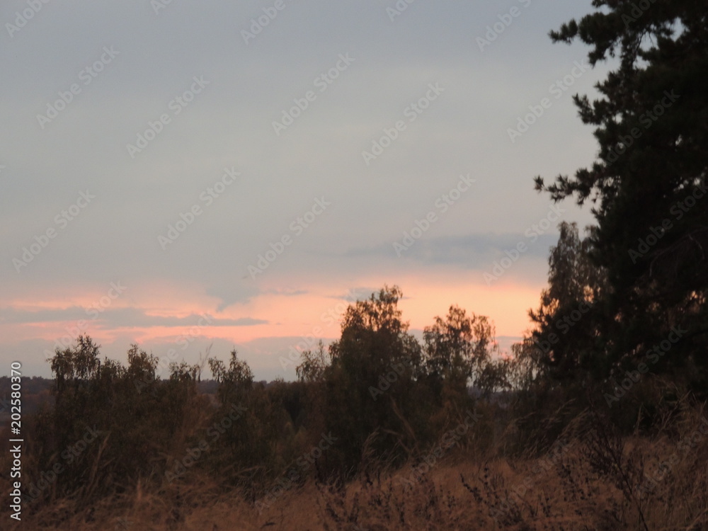 Fototapeta premium осень на реке