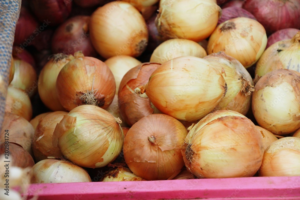 Fresh onion for cooking in the market Fresh onion for cooking in the market