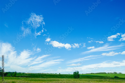 Green field and trees on the background of Blue sky and beautiful clouds
