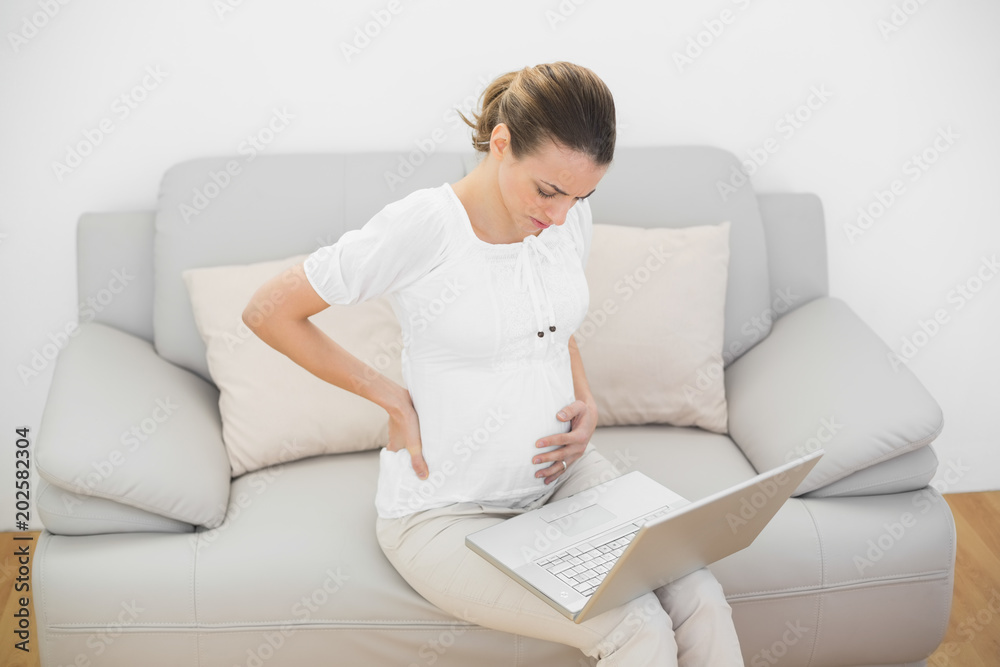 Serious pregnant woman touching her injured back using her notebook Serious pregnant woman touching her injured back using her notebook