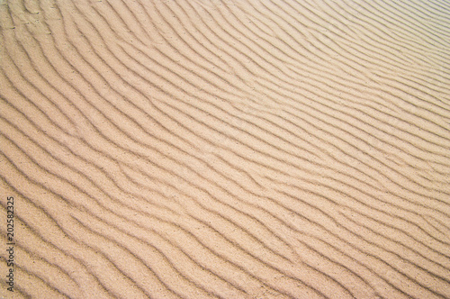Waves on the sand from the wind