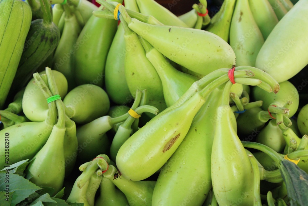 Winter melon for cooking in the market Winter melon for cooking in the market