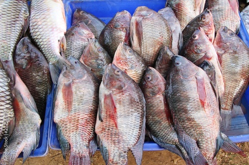 Fresh fish for cooking in the market.