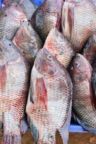 Fresh fish for cooking in the market.