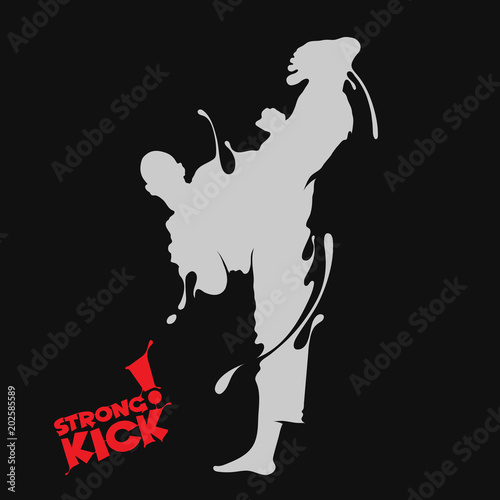 taekwondo kick splash