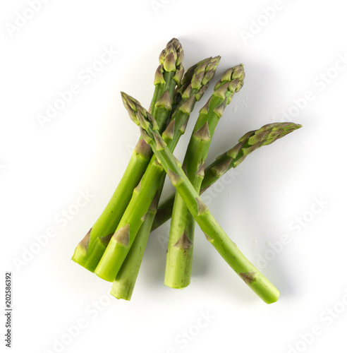 Bunch of Raw Garden Asparagus photo