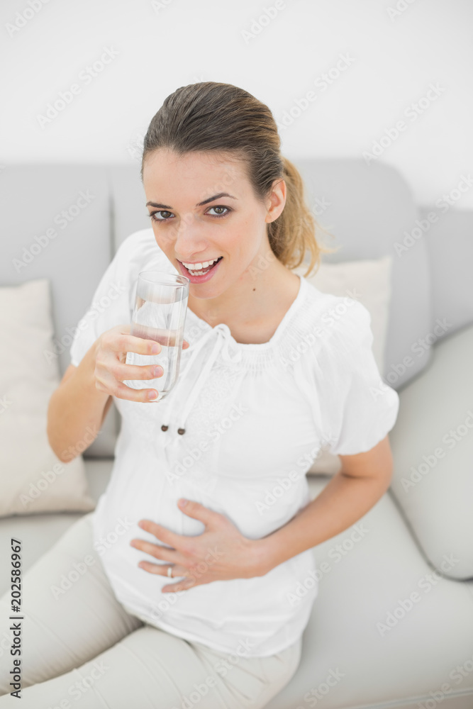Attractive pregnant woman touching her belly holding a glass of water Attractive pregnant woman touching her belly holding a glass of water