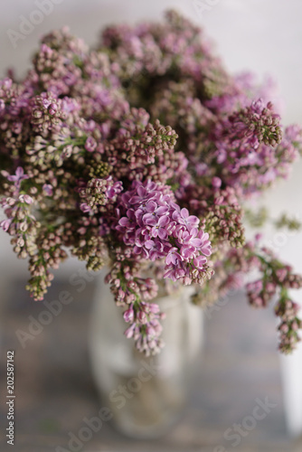 Lilac in glass vase on wooden table. Lots of buds. Floral natural backdrop. Flower shop concept