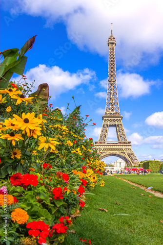 Eiffel tower and flowers, Paris, France
