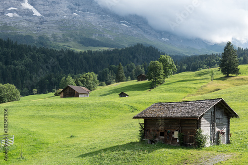 Village wooden houses on a green lawn in the background of mountains.