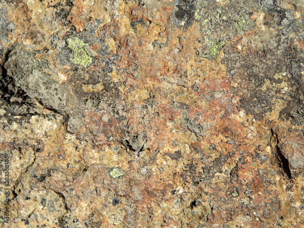 Old color stone texture. Lichen on weathered rock surface Old color stone texture. Lichen on weathered rock surface