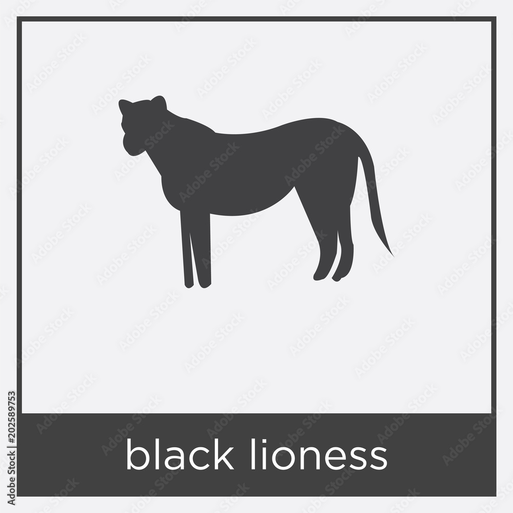 black lioness icon isolated on white background