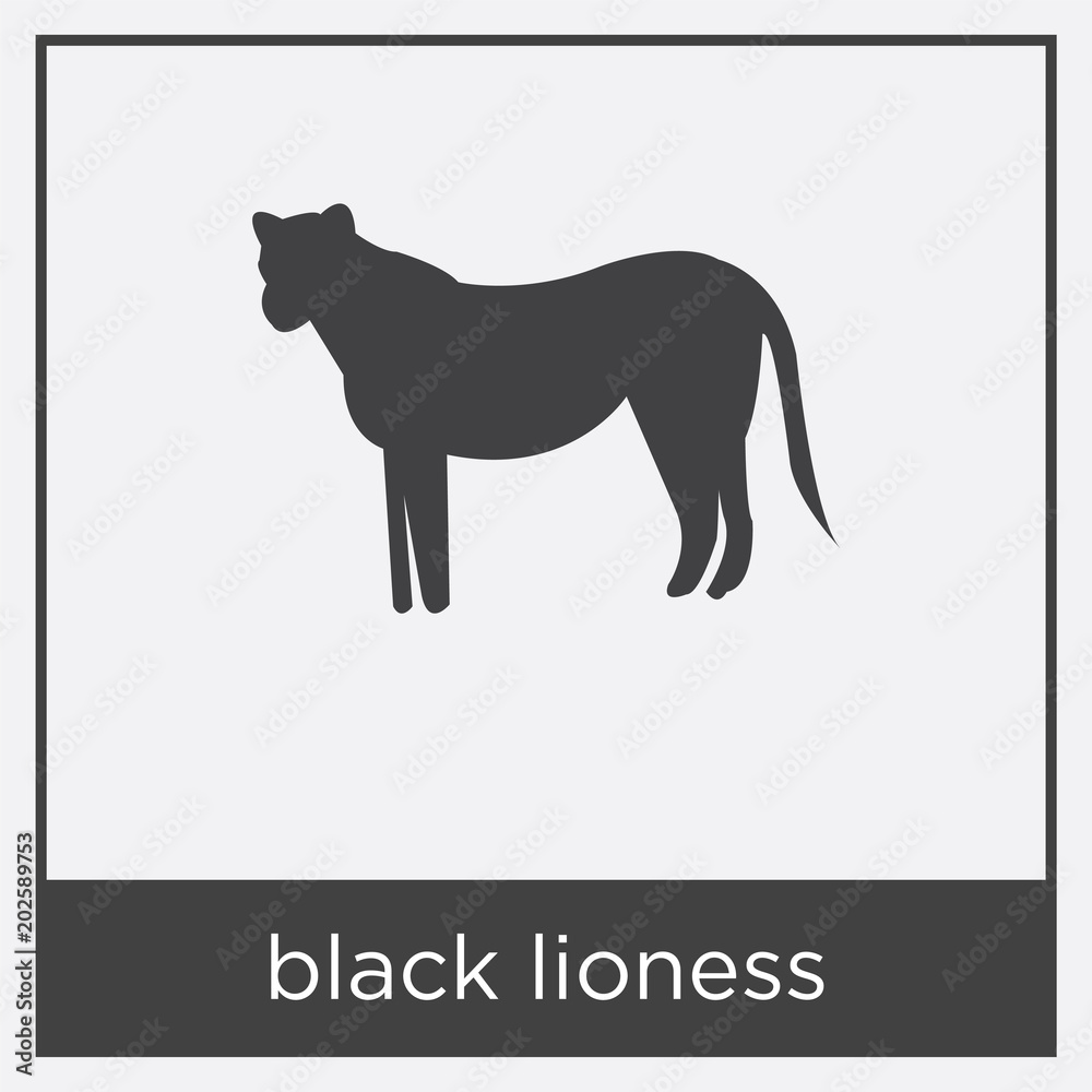 black lioness icon isolated on white background black lioness icon isolated on white background
