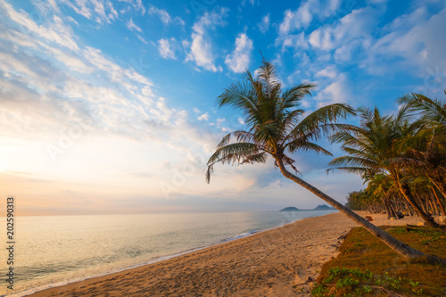 Seascape of beautiful tropical beach with palm tree at sunrise. sea view beach in summer background.