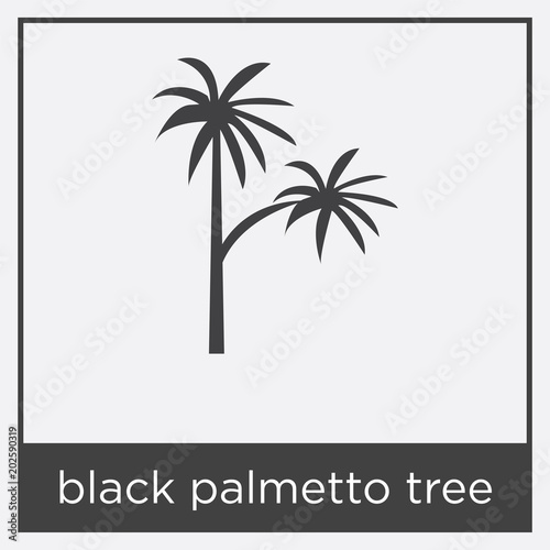 black palmetto tree icon isolated on white background