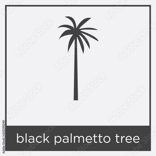black palmetto tree icon isolated on white background