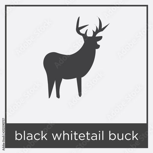 black whitetail buck icon isolated on white background