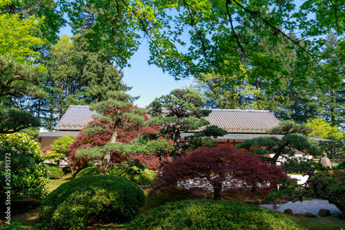 Beautiful Japanese Garden in Portland  Oregon