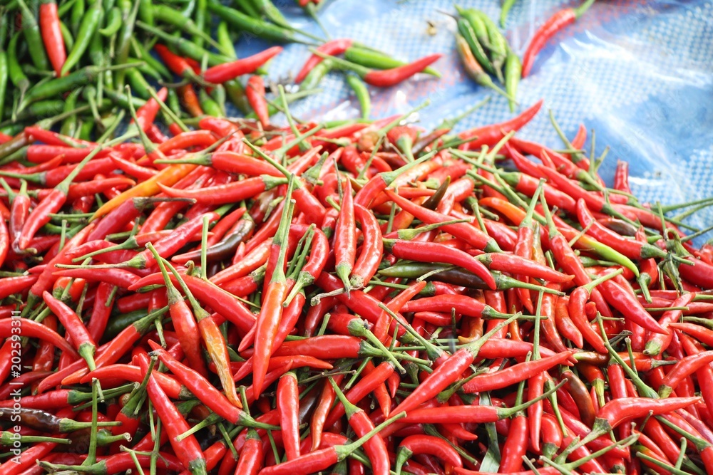 Fresh chilli for cooking at street food