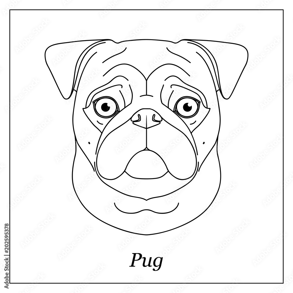 Vektorová grafika „Isolated black outline head of pug dog, mops on white  background. Line cartoon breed dog portrait.“ ze služby Stock | Adobe Stock