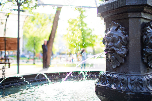 Lion water fountain in a park. photo