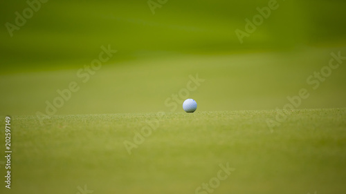 The golf ball put on green grass of golf course 