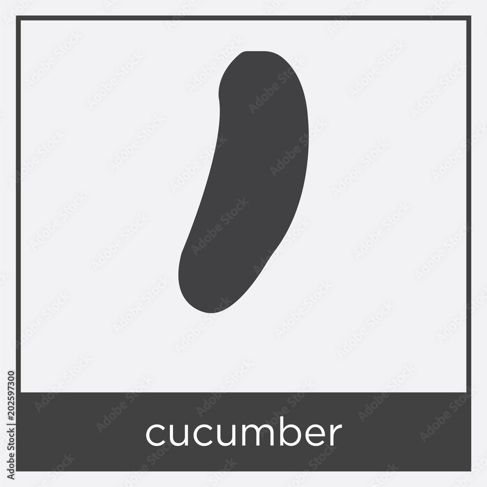 cucumber icon isolated on white background cucumber icon isolated on white background