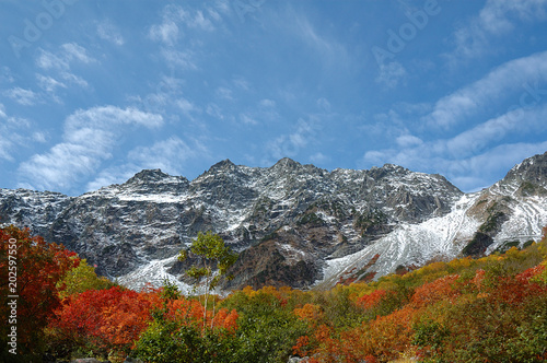 colorful leaves and snowy mountains @Karasawa area / 涸沢の紅葉越しに見る初冠雪した穂高連峰 - 三段紅葉