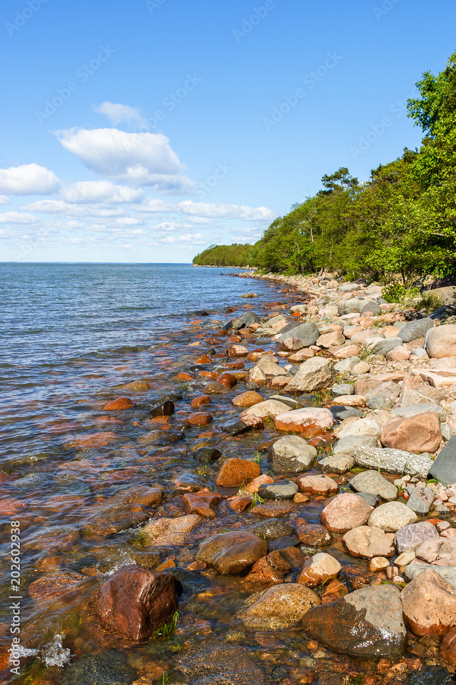 Rocky beach at a lake with woods