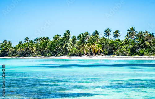 Beach and palm trees on beautiful island © Erik