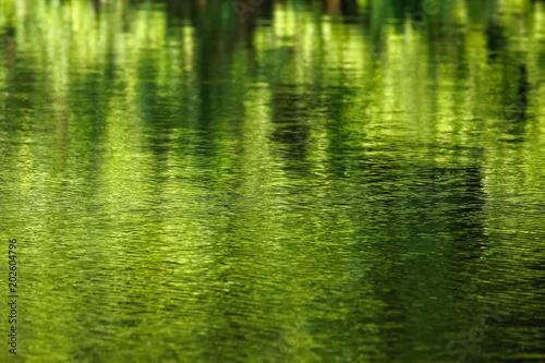 Beautiful reflection on the water surface (shallow DOF)