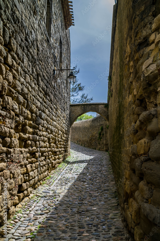 Carcassonne, Aude, Occitanie, France.