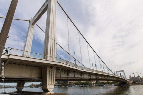 elisabeth bridge over the danub river in budapest hungary