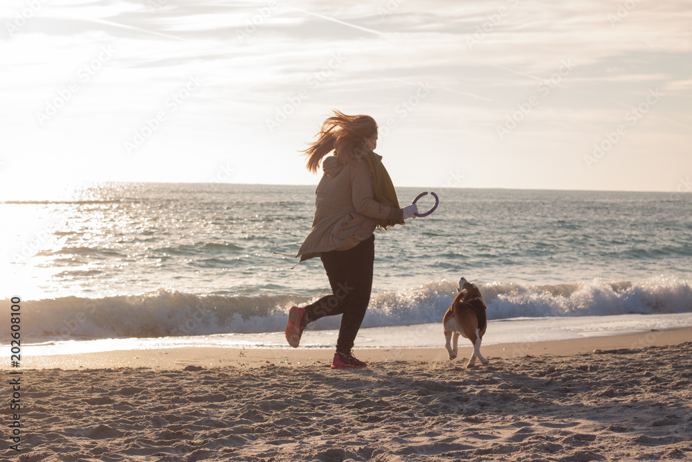 Φωτογραφία Young woman play with beagle dog on the winter or autumn sunny day on the beach