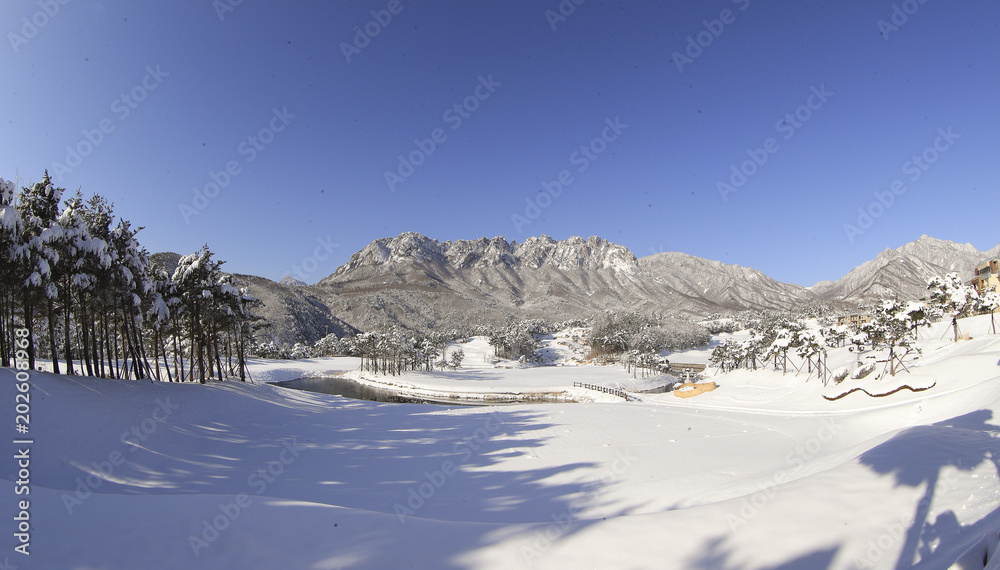 아름다운 한국의 겨울 산