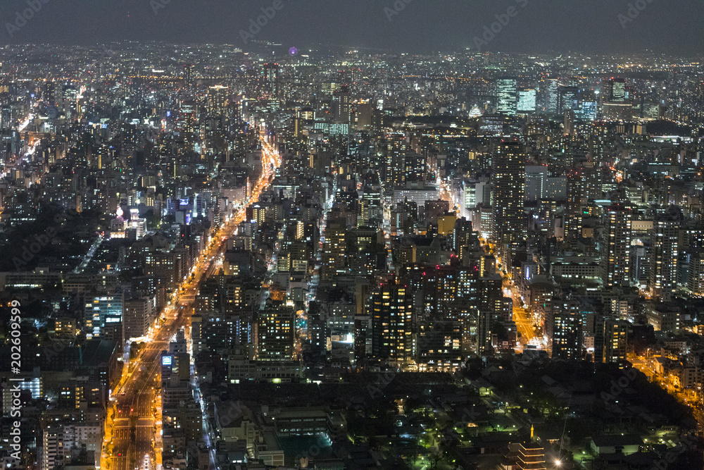 高層ビルから撮影した夜の大阪