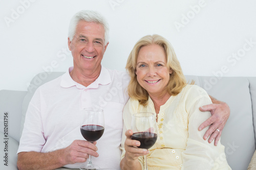 Senior couple with wine glasses at home